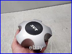 2001 2002 2003 2004 Ford SVT Lightning Wheel Center Caps 14mm OEM