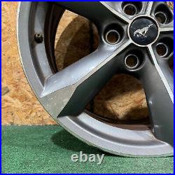 Cnc Charcoal 18 x 8 Alloy Factory Stock OEM Wheel Rim 2015 2023 Ford Mustang Cnc Charcoal 18 x 8 Alloy Factory Stock OEM Wheel Rim 2015 2023 Ford Mustang