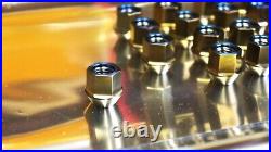 Titanium Lug Wheel Nut 12x1.5 17mm 60deg open 20pack set Titanium Lug Wheel Nut 12x1.5 17mm 60deg open 20pack set