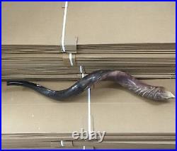 Yemenite Kudu Horn Jewish Shofar Half Polished Natural 40-42 XXL From Israel Yemenite Kudu Horn Jewish Shofar Half Polished Natural 40-42 XXL From Israel