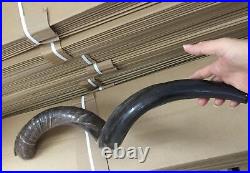 Yemenite Kudu Horn Jewish Shofar Half Polished Natural 40-42 XXL From Israel Yemenite Kudu Horn Jewish Shofar Half Polished Natural 40-42 XXL From Israel